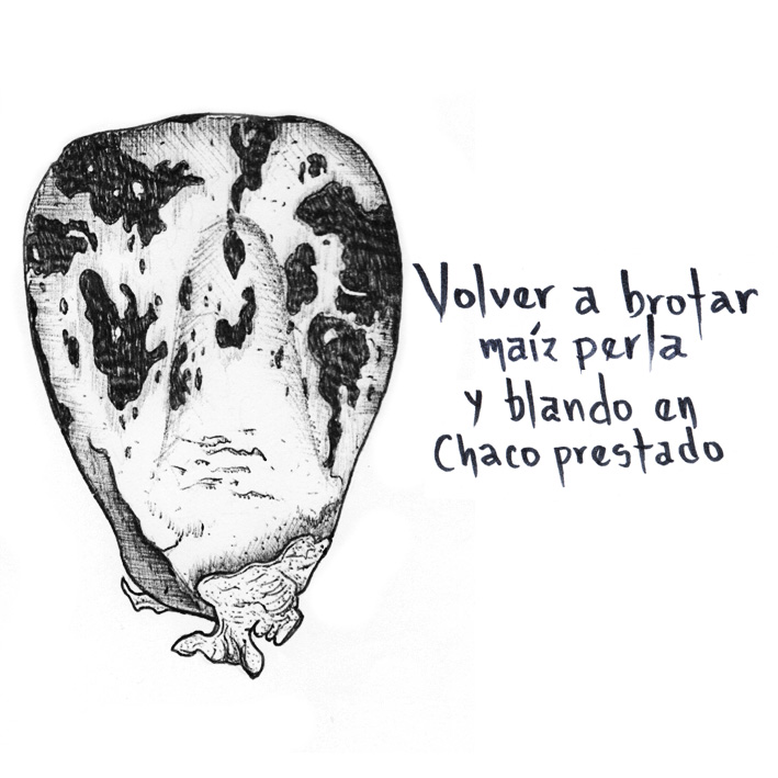 Chaco prestaso volverabrotar